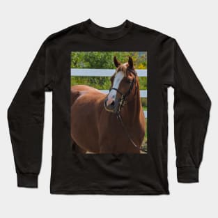 Horse show Long Sleeve T-Shirt